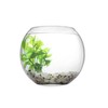 Happet Burbulas 7,5L
