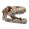 Happet Dekoracija dinozauro galva