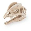 Happet Dekoracija Dinozauro kaukolė