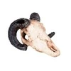 Happet Dekoracija muflono kaukolė 9 cm