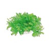 Happet Dirbtinis augalas 10cm