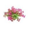 Happet Dirbtinis augalas 10cm
