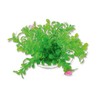 Happet Dirbtinis augalas 10cm