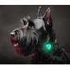 Happet LED šviečiantis pakabukas silikoninis žalias