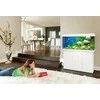 Juwel Spintelė akvariumui Rio 240 baltos spalvos 121x41x73 cm NEW, SPEC