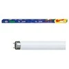 Kiti AQUA NOVA T8 lempa 20W balta 7500K 600mm