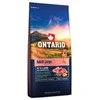 Ontario Adult Large ėriena &amp; Brown ryžiai 12kg