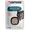 Ontario Cat Soup Ocean žuvis with vetebles 40g (Sriuba)