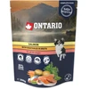 Ontario Lašiša su Daržovėmis sultinyje 300g