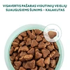 OPTIMEAL maistas vidutinių veislių šunims su kalakutiena, 3 x 12kg