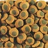 Tetra Pleco Spirulina vafliai 3,6L/1,75kg