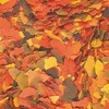 Tropical Supervit 21L/4kg