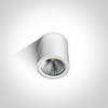 10W LED cilindro formos šviestuvas, baltas, 3000K, 67380/W/W
