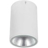 10W LED paviršinis fasado šviestuvas DERMOT, baltas, 3000K, IP65, 4334800
