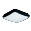10W LED paviršinis šviestuvas TIBUOK, tamsiai pilkas, 3000K, 4197700