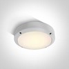 10W LED sieninis lauko šviestuvas, baltas, 3000K, 67442/W/W