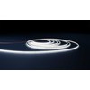 Ledvance 11W/m LED juosta PERFORMANCE 1000 COB, 5m, 6500K, 24V
