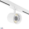 Bemko 12-40W LED akcentinis šviestuvas į 3 fazių bėgelį VASKO, baltas, 3000K