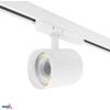 Bemko 12-40W LED akcentinis šviestuvas į 3 fazių bėgelį VASKO, baltas, 4000K