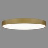 126W LED lubinis šviestuvas ISIA, aukso sp., 2700/3000/4000K, dimeriuojamas, P3453372OTDT