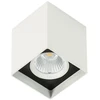 Lubinis šviestuvas 12W LED paviršinis šviestuvas ALDEN, baltos/juodos sp., 4000K