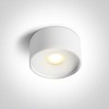 Lubinis šviestuvas 12W LED paviršinis šviestuvas, baltas, 3000/3500/4000K, 12112F/W/V