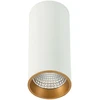 Lubinis šviestuvas 12W LED paviršinis šviestuvas MOLDES BIG, baltos/aukso sp., 3000K