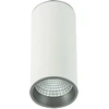 Lubinis šviestuvas Netlighting 12W LED paviršinis šviestuvas MOLDES BIG, baltos/pilkos sp., 4000K