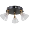 Lubinis šviestuvas 12W LED paviršinis šviestuvas ORELLA, juodos/aukso sp./skaidrus, 3000K