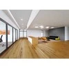 Ledvance 13W LED įleidžiama panelė DL PROTECT, balta, 4000K, IP44