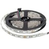 14.4W/m LED RGBW juosta OPTONICA, 12V, 60 LED/m, 5m ritė