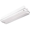 15W avarinis/evakuacinis šviestuvas ORION LED II 150 M 3H MT LT, baltas