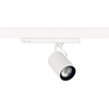 15W LED akcentinis šviestuvas į 3 fazių bėgelius LUXCAN MINI, baltas, 4000K, 50º