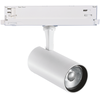 15W LED akcentinis šviestuvas į 3 fazių bėgelį FOX, baltas, 3000K, DALI, 302584