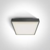 16W LED plafonas, antracito sp., 3000K, 67282N/AN/W
