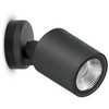 16W LED sieninis šviestuvas NOA 100 WALL, antracito sp., 3000K, 60°, IP66, dimeriuojamas