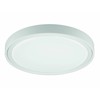 17,5W LED paviršinis šviestuvas ANABELLA, baltas, 3000K, 4257300