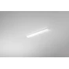 18W LED linijinis spintelės šviestuvas REGGY, baltas, CCT, IP44