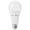 19W LED lemputė, A65, E27, 6000K