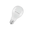 Osram 19W LED lemputė CLASSIC, A67, E27, 2700K