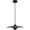 19W LED pakabinamas šviestuvas RENE, juodas, 3000K, 4319501