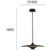 19W LED pakabinamas šviestuvas RENE, juodas, 3000K, 4319501