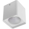 20W LED paviršinis lauko šviestuvas XIA, baltas, 3000K, IP54, 9582