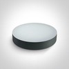Lubinis šviestuvas 20W LED plafonas, antracito sp., 3000/4000/6500K, 67498/AN/V