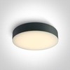 Lubinis šviestuvas 20W LED plafonas, antracito sp., 3000/4000/6500K, 67498/AN/V