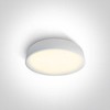 Lubinis šviestuvas 20W LED plafonas, baltas, 3000K, 62118D/W/W