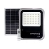 20W LED prožektorius su saulės baterija, pilkas, 6000K, su nuotolinio valdymo galimybe