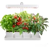 20W LED stalo šviestuvas augalų auginimui BLOOM, baltas, 3500K