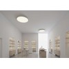 22W LED lubinis šviestuvas MINSK, baltas, 2700/3000/4000K, dimeriuojamas, P3758172BDP