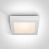 Lubinis šviestuvas 22W LED plafonas, baltas, 3000K, 62122F/W/W